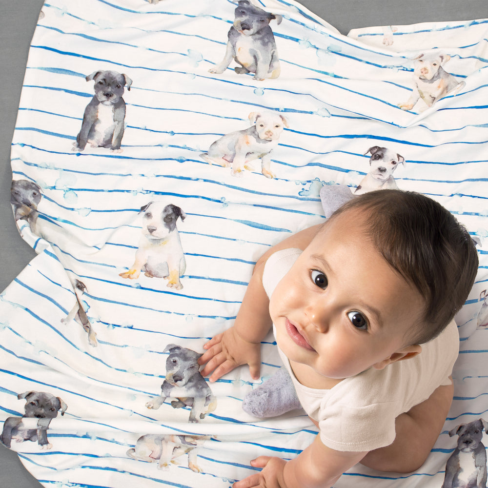 Pima Cotton Pit Bull Puppies Baby Blanket - Swaddle